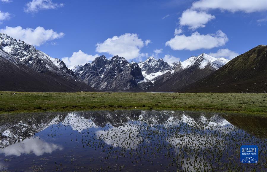 （新華全媒頭條·聚焦生物多樣性大會(huì)·圖文互動(dòng)）（7）攜手同行，開啟人類高質(zhì)量發(fā)展新征程——習(xí)近平主席在《生物多樣性公約》第十五次締約方大會(huì)領(lǐng)導(dǎo)人峰會(huì)上的主旨講話解讀